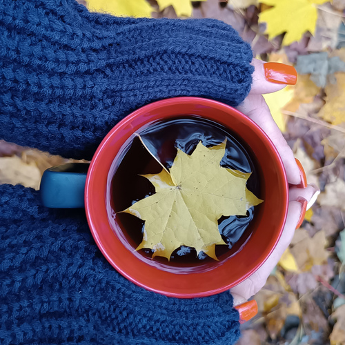 Photo #14089055