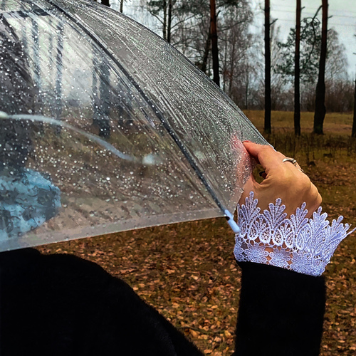 Photo #14089058