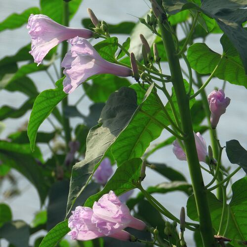 Photo #14089065