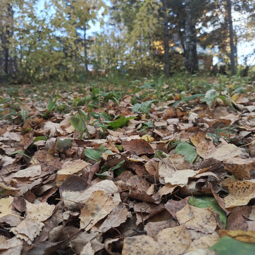 Photo #14089083