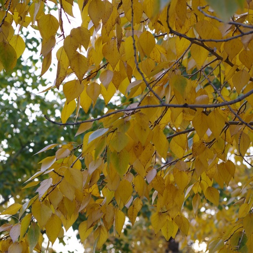 Photo #14089087