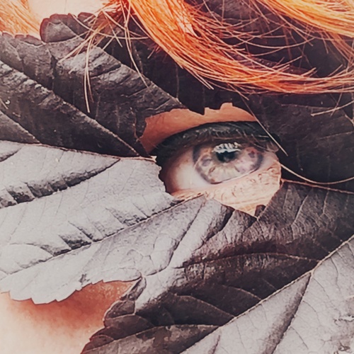 Photo #14089095
