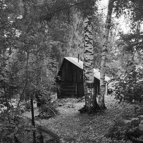 Photo #14089097