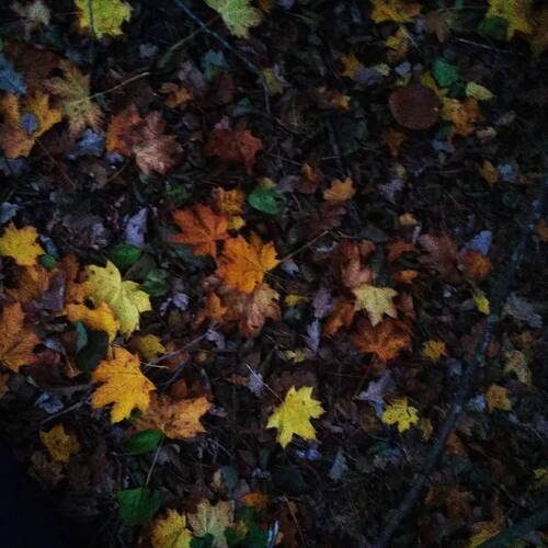 Photo #14089103