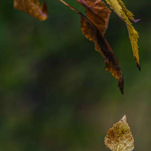 Photo #14089114