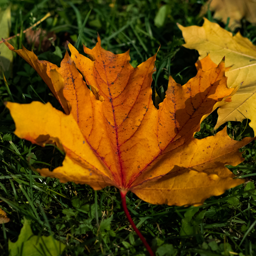 Photo #14089125