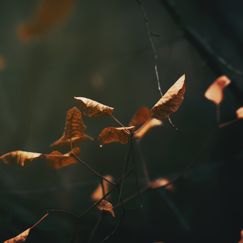 Photo #14089140