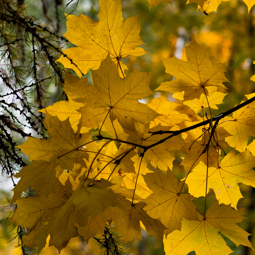 Photo #14089148