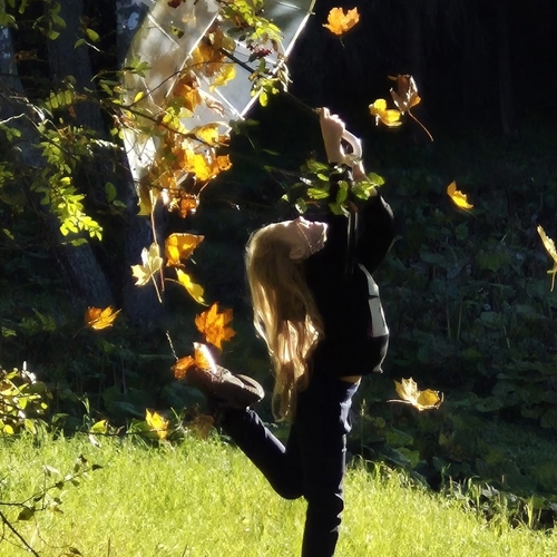 Photo #14089168