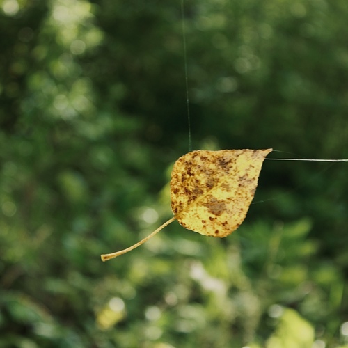 Photo #14089190