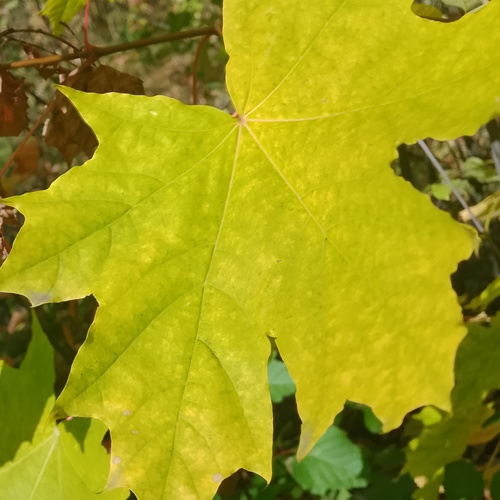 Photo #14089219