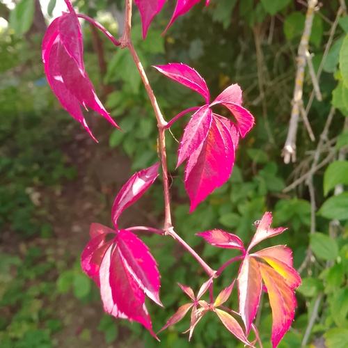 Photo #14089220