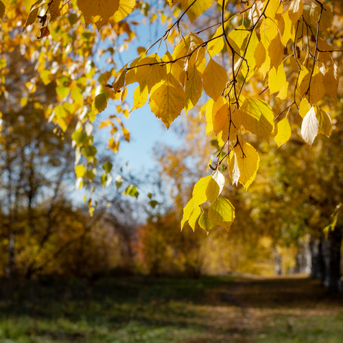 Photo #14089225