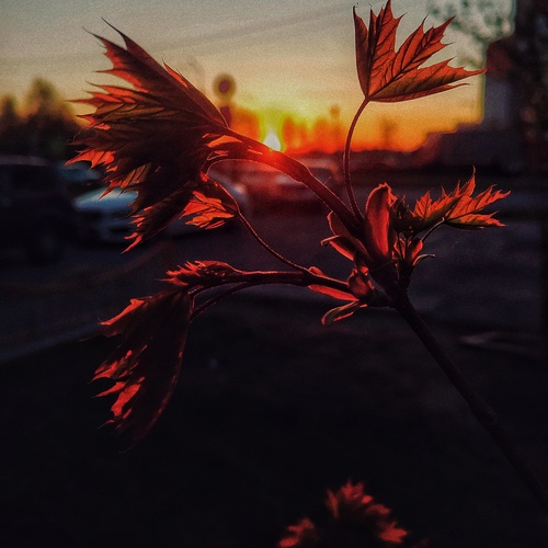 Photo #14089256