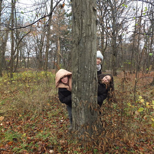 Photo #14089284