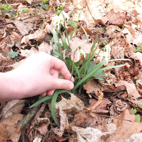 Photo #14089286