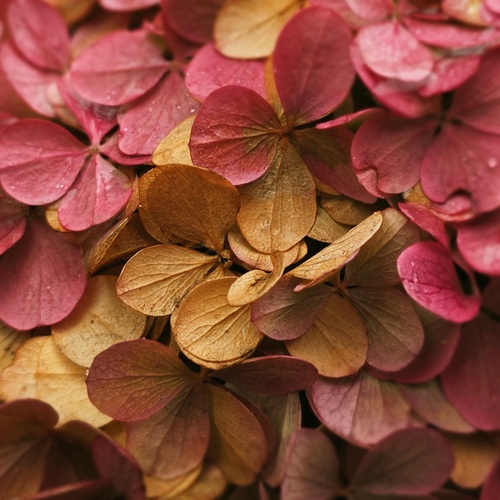 Photo #14089307