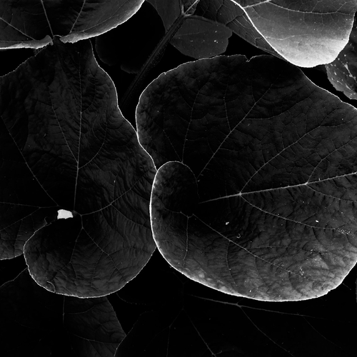 Photo #14089332