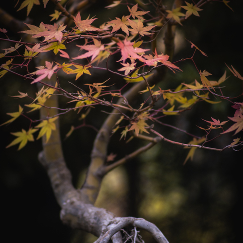 Photo #14089349