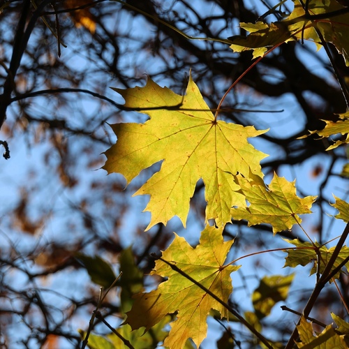 Photo #14089381