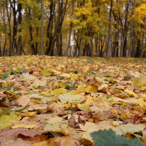 Photo #14089382