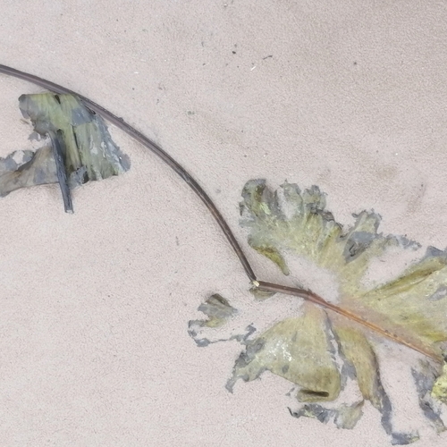 Photo #14089409