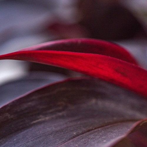 Photo #14089429