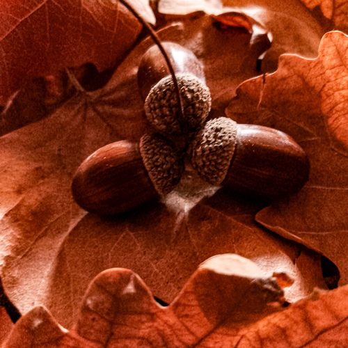 Photo #14089434