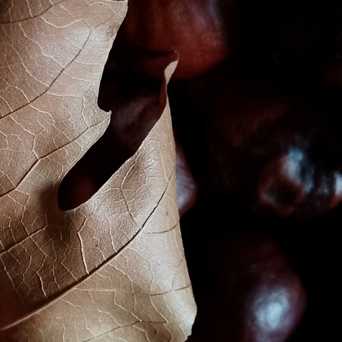 Photo #14089443