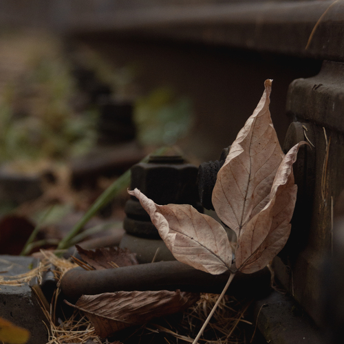 Photo #14089466
