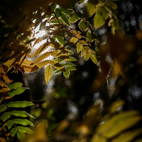Photo #14089524