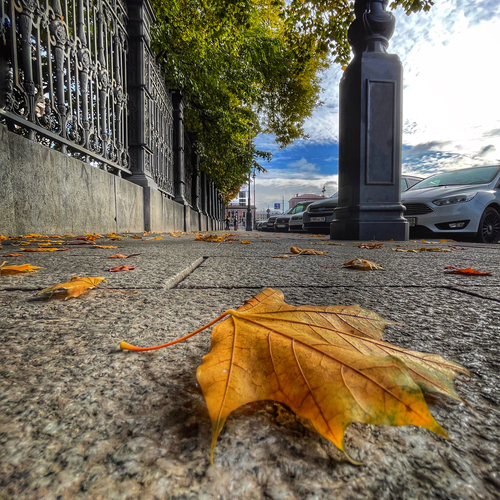 Photo #14089526