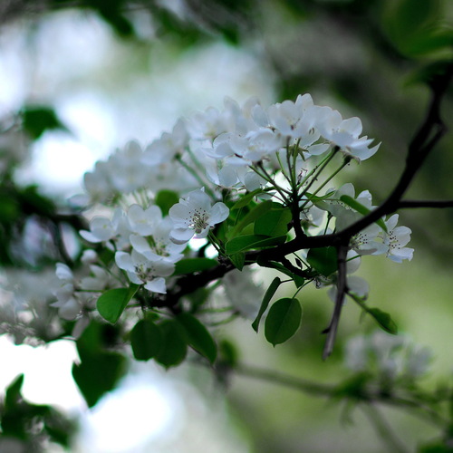Photo #14089606