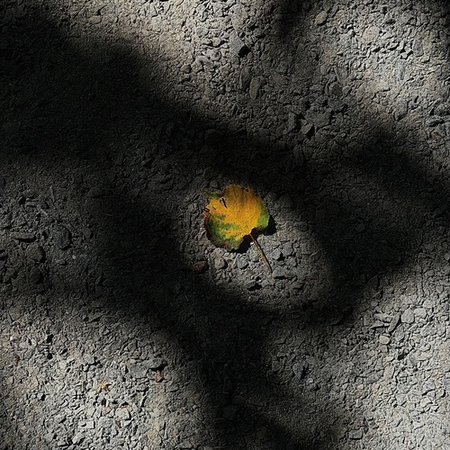 Photo #14089611