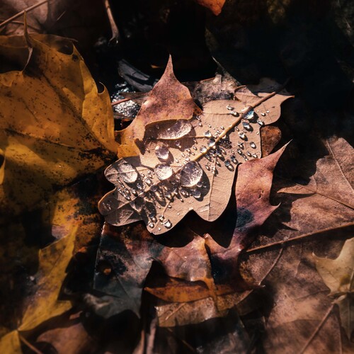 Photo #14089615