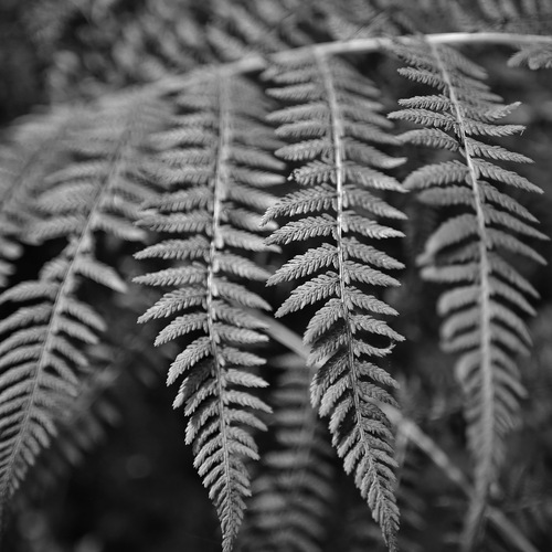 Photo #14089633
