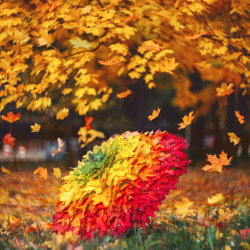 Photo #14089758