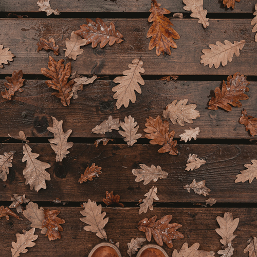 Photo #14089768