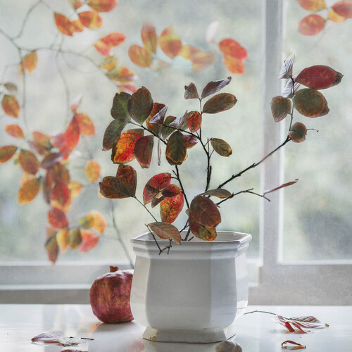 Photo #14089811