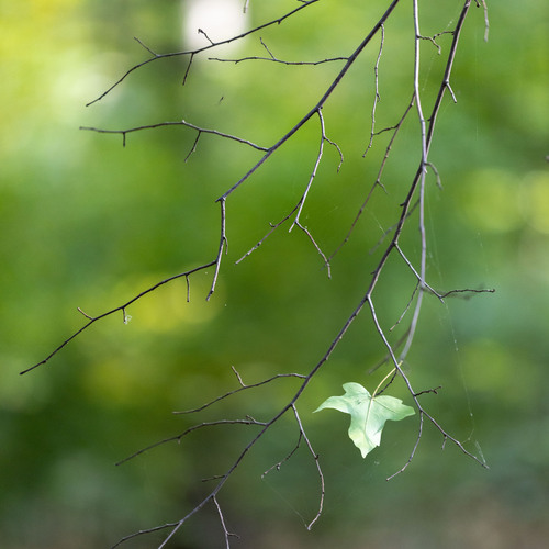 Photo #14089813