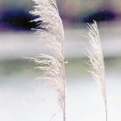 Photo #14089844