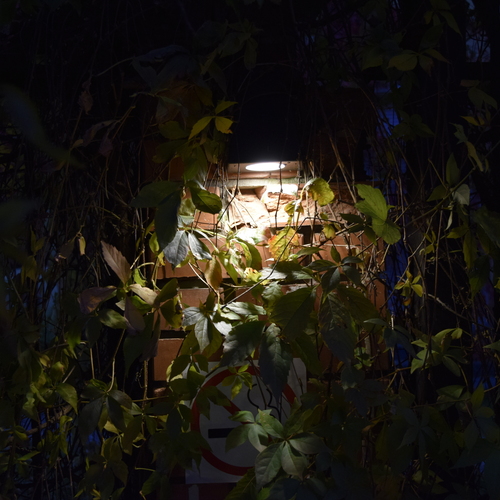Photo #14089903