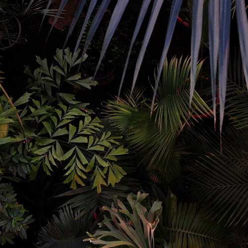 Photo #14089905
