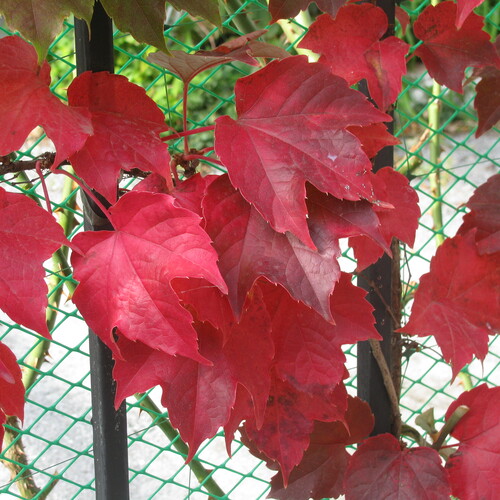 Photo #14089938