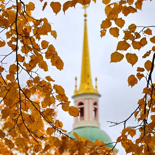 Photo #14089968