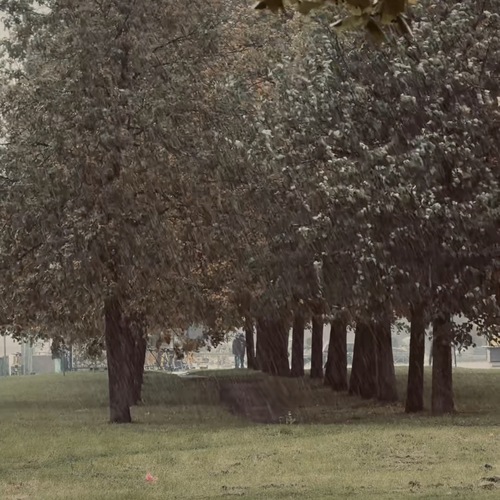 Photo #14089970