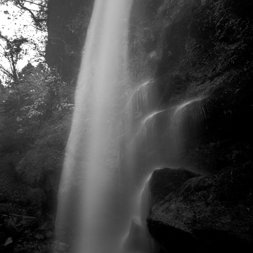 Photo #14090034