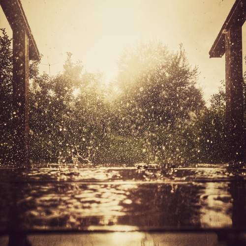 Photo #14090055