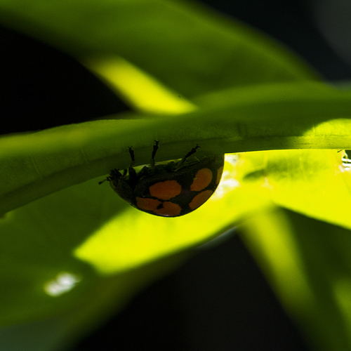 Photo #14090083