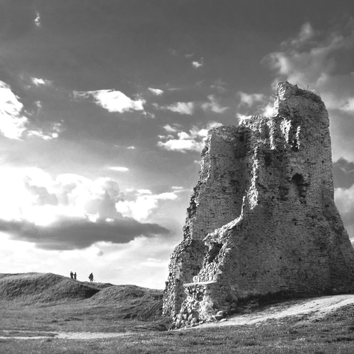 Photo #14090097